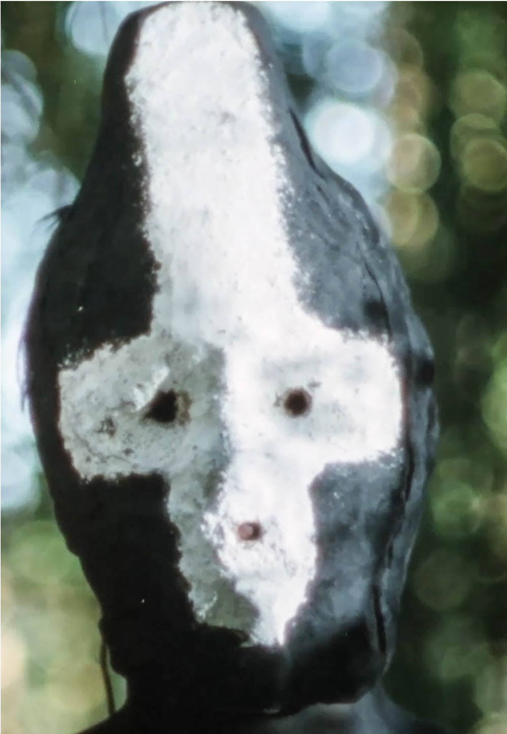 Film poster