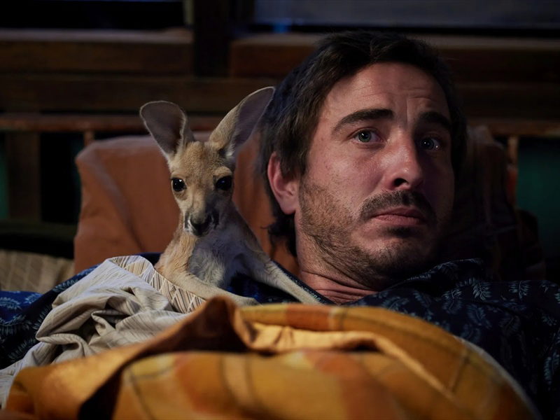 Kangaroo Stills 32