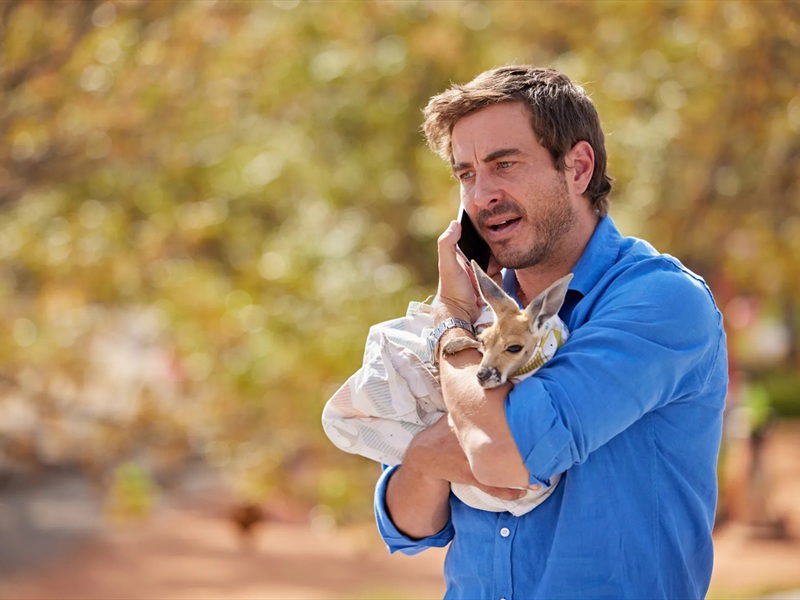 Kangaroo Stills 45