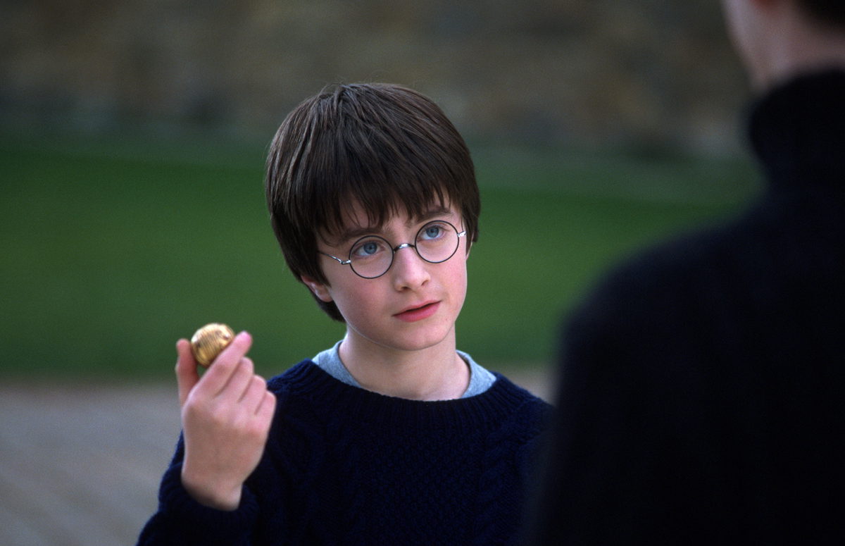 H P F1 Philosophers Stone Harry Holding Snitch Web Landscape