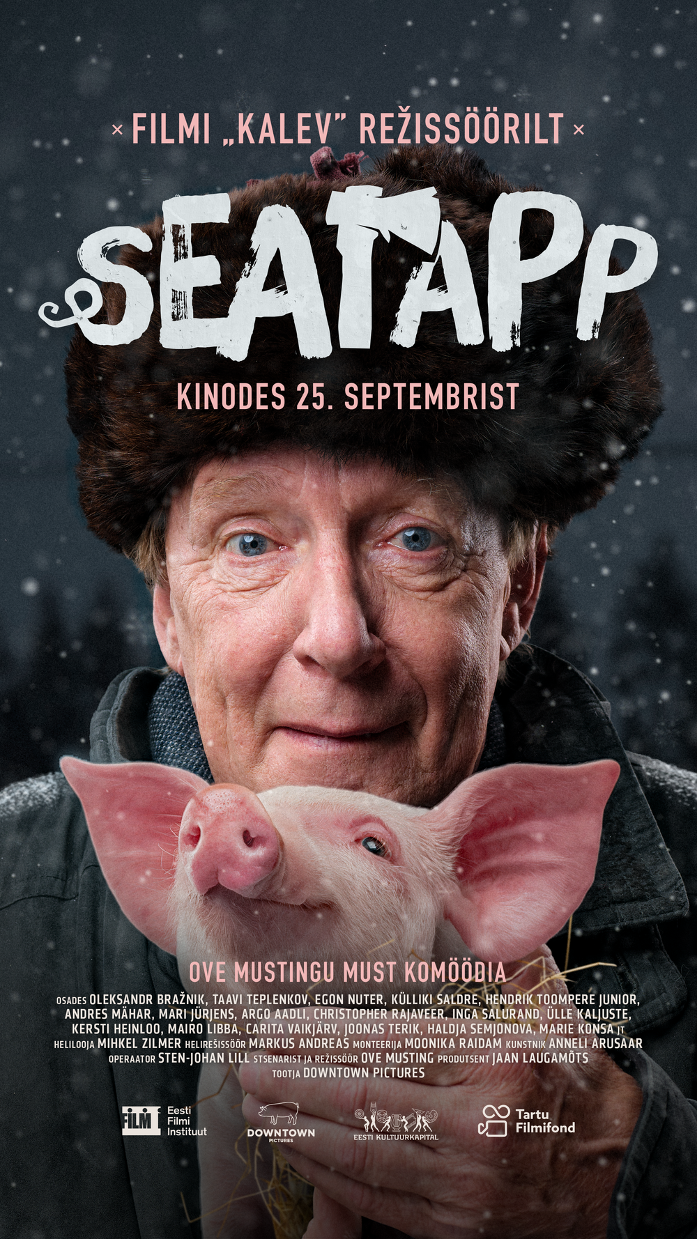 Film poster