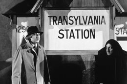 Young Frankenstein12