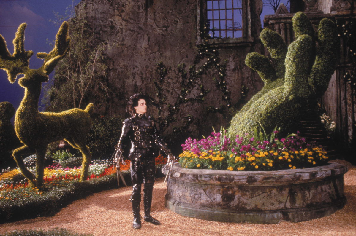 Edward Scrissorhands20