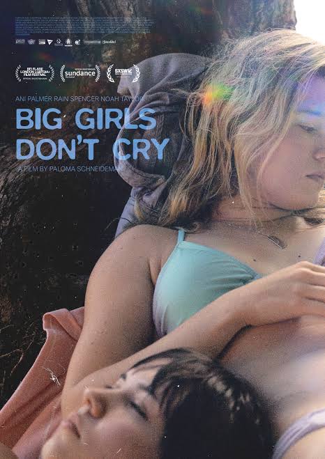 Film poster